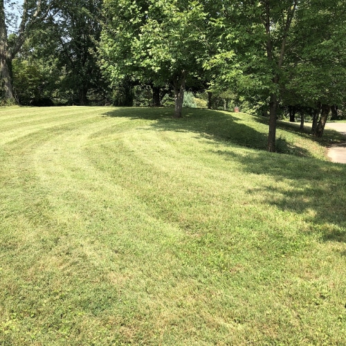 Lawn Mowing Services